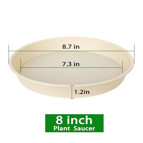 2 Pack of 8 inch Plant Saucer Clear (8" (2 pack) / Beige)
