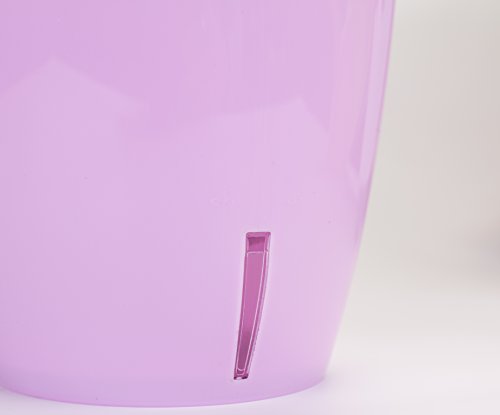 5.5 Inch ORCHIDEA Self Watering Pots for Orchids in Sand