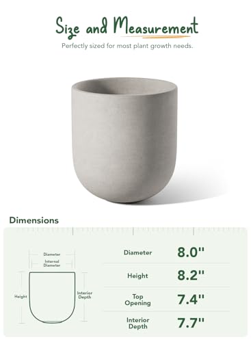 8 Inch Ceramic Plant Pot (Neutral Gray / 8 Inch)
