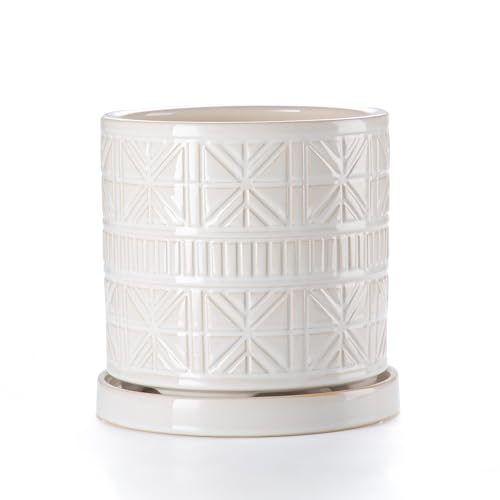 Ceramic Plant Pots Indoor (8 inch / White1)