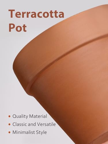 Terracotta Pot with Saucer 10&12 Inch (10/12 inch -2 pcs)