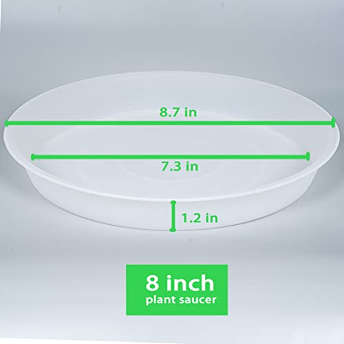 2 Pack of 8 inch Plant Saucer Clear (8" (2 pack) / Clear)