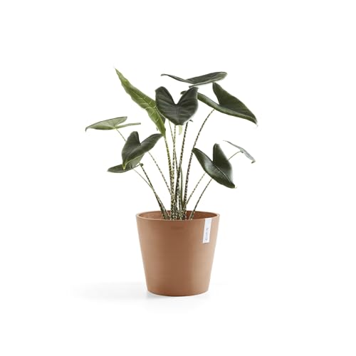 Amsterdam Round Flower Planter (Terracotta / 12 Inches)