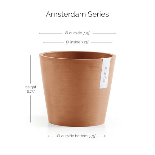 Amsterdam Round Flower Planter (Terracotta / 8 Inches)