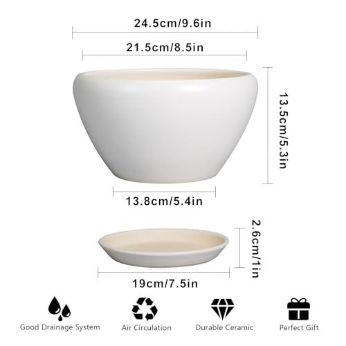 Ceramic Planter (9 Inch / White)