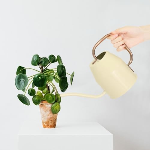 Metal Watering Can with Removable Spout (White / 0.5 Gallon)