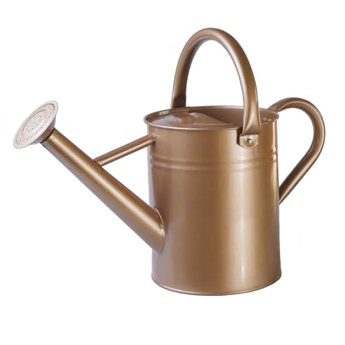 Metal Watering Can for Outdoor Plants (Gold)
