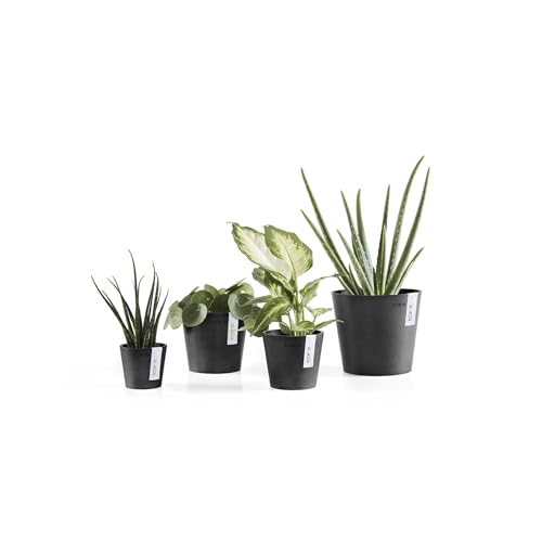 Amsterdam Mini Round Flower Planter