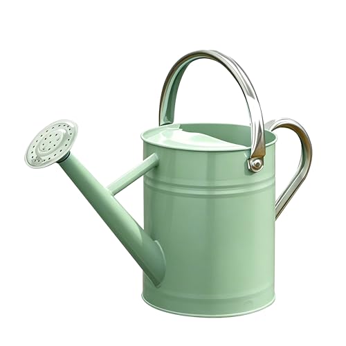 Metal Watering Can for Outdoor Plants (Cream Green)