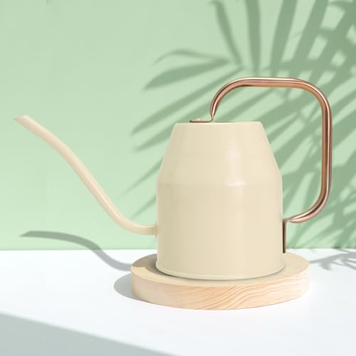Metal Watering Can with Removable Spout (White / 0.5 Gallon)