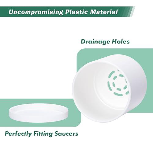 2 Pack White Plastic Planters with Saucers (4")