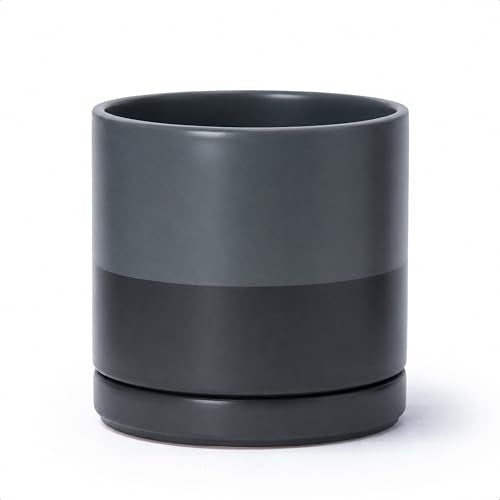 8 Inch Ceramic Planter Pot (Medium / Slate)