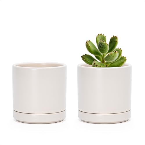 2 Pack Ceramic Pots with Saucers (2 Count)