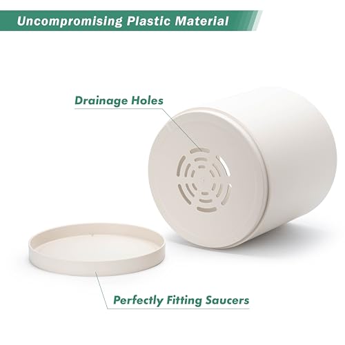 Plastic Planter Pot with Saucer (12 Inch / Oatmeal)