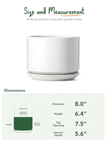 8 Inch Plant Pot (White / 8")
