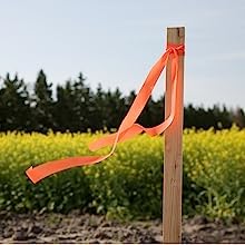 3 Ft. Wooden Garden and Sign Post Stakes (75 Count)