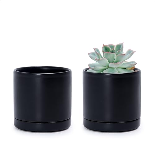 2 Pack Ceramic Pots with Saucers (2 Count)