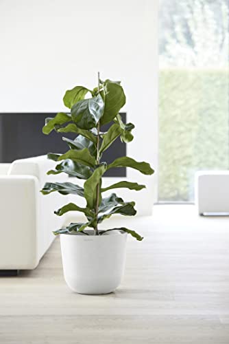 Oslo Round Flower Planter (Pure White / 14")