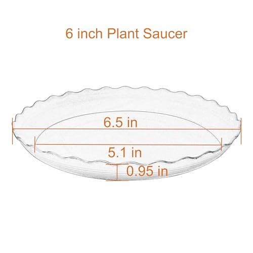6 Pack of 6 inch Plant Saucer Plant Tray (6" (6 pack) / Blue)