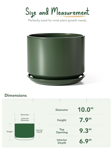 10 inch Plant Pot (Forest Green / 10")