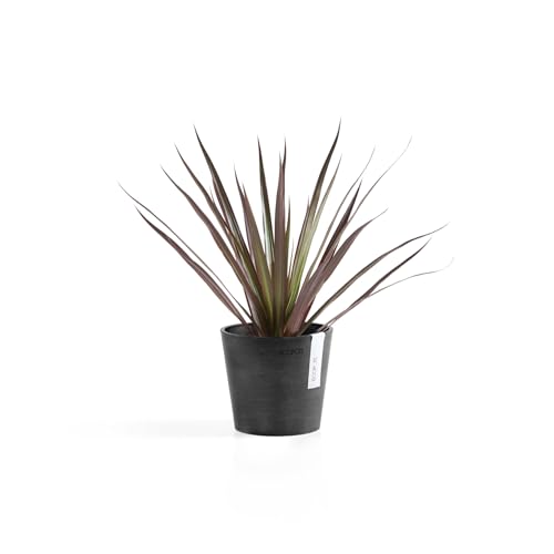 Amsterdam Mini Round Flower Planter