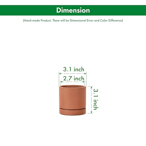 2 Pack Terracotta Plant Pots with Saucers (XX-Small 3 Inch)