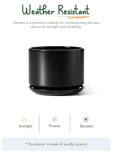 12 Inch Pots for Plants (Black / 12")