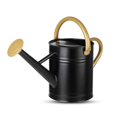 1 Gallon Watering Can for Plants (Black-gold)