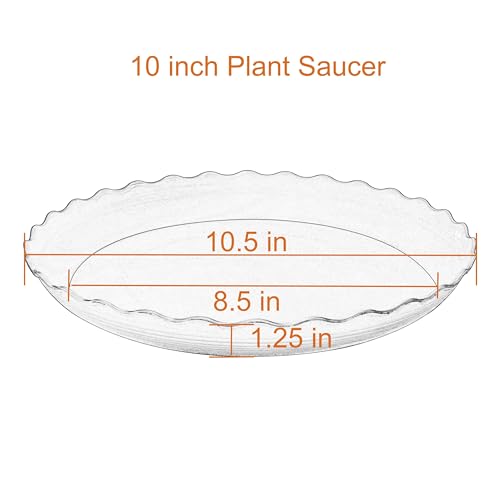 6 Pack Plant Saucer 10 inch