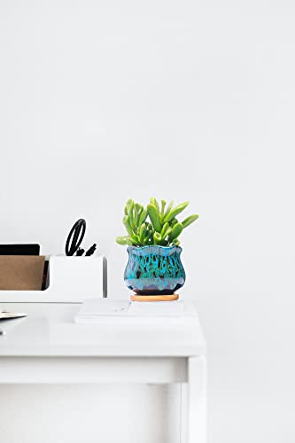 Cute Ceramic Succulent Garden Pots (Fambe)