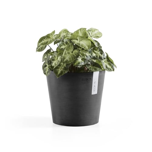 Amsterdam Mini Round Flower Planter (Dark Grey / 7 Inches)
