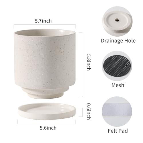 Ceramic Plant Pot with Resin Climbing Tortoise Figure (White+bt / 5.7 Inch)