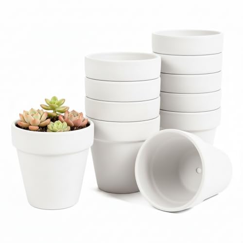 White 4 Inch Terracotta Clay Pots with Drainage Holes (White)