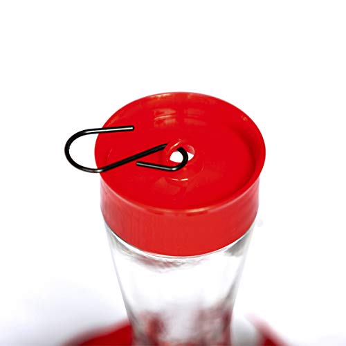 Bird Feeder 4 bee Guard Plastic Feeding Port 8oz Glass Pinch Waist Hummingbird Feeder (2pcs / Red)