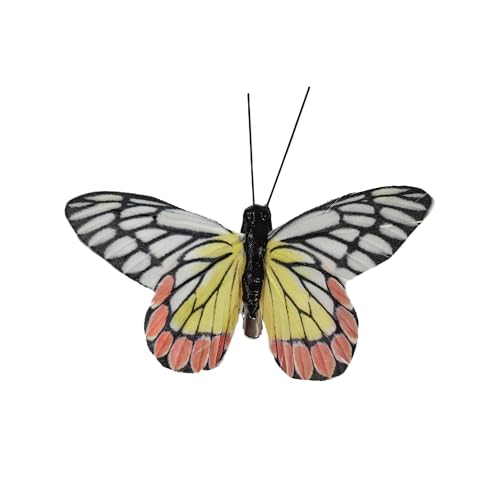 Artificial Feather 3D Butterfly Party Decorations Set of 12 with Clip 6 Color Ornaments for Home Decoration (C Clip)