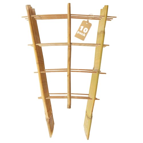 Bamboo Trellis 10 Pack (3ft Fan Shaped, Pack of 10)