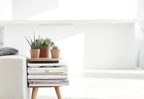 Amsterdam Mini Round Flower Planter