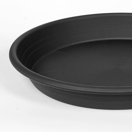 6 Pack Plant Saucer 8 inch