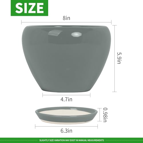 8 Inch Plant Pots (Gray / 8 Inch)
