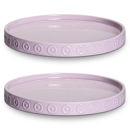 Ceramic Plant Saucer 5.6 Inch (5.6 Inch (2 Pack) / Purple)