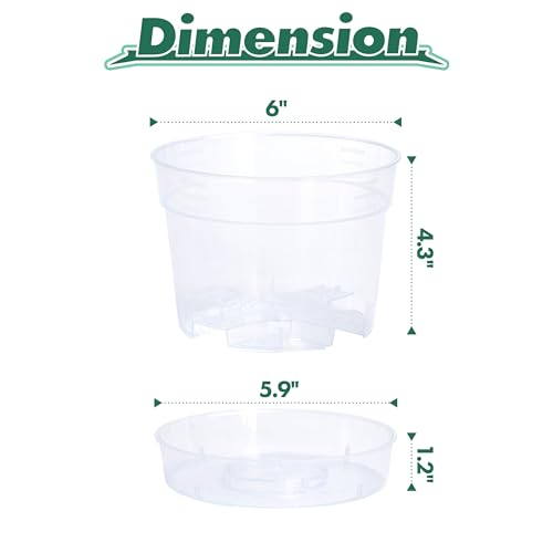 6 Inch Clear Plastic Plant Pot with Drainage Holes (12 Count)