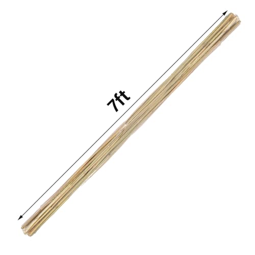Natural Bamboo Plant Stake（7FT 15Pcs 3 (7ft-15PCS)