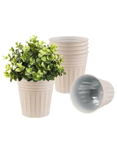 6 Inch Beige Metal Rustic Flower Pots (Beige / 6 inch)