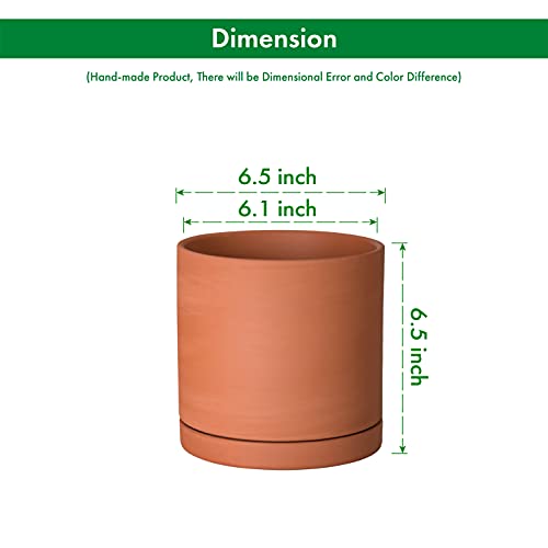Terracotta Plant Pot with Saucer