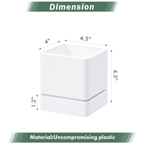 6 Pack Plastic Herb Planter Pots (6 Count)