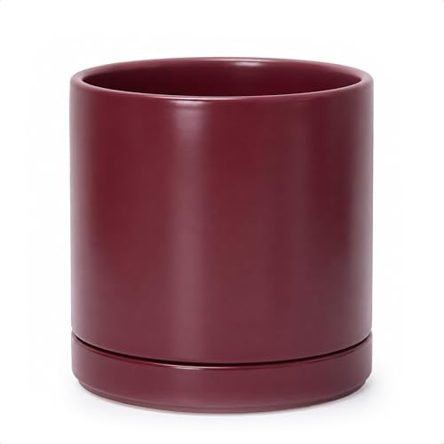 10 Inch Ceramic Planter Pot (Large / Cordovan)
