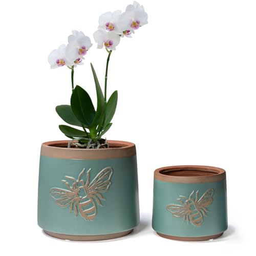 Terracotta Pots (6+4 Inch / Turquoise Bee)