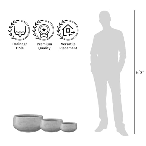 Accent Round Shallow Pale Gray Concrete Planter 16.9" Dia