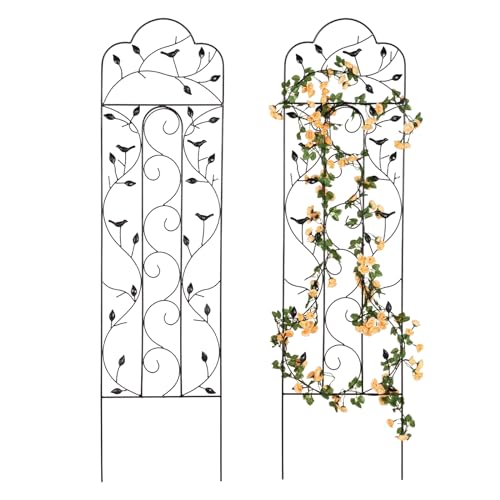 Decorative Metal Trellis for Climbing Plants Outdoor