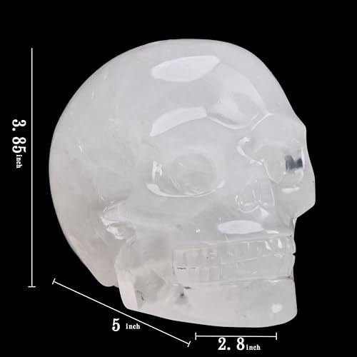 5''Natural White Quartz Crystal Skull Head Hand Carved Reiki Healing Stone Statue Healing Home Office Art Room Decoration (White Quartz / 5inch)